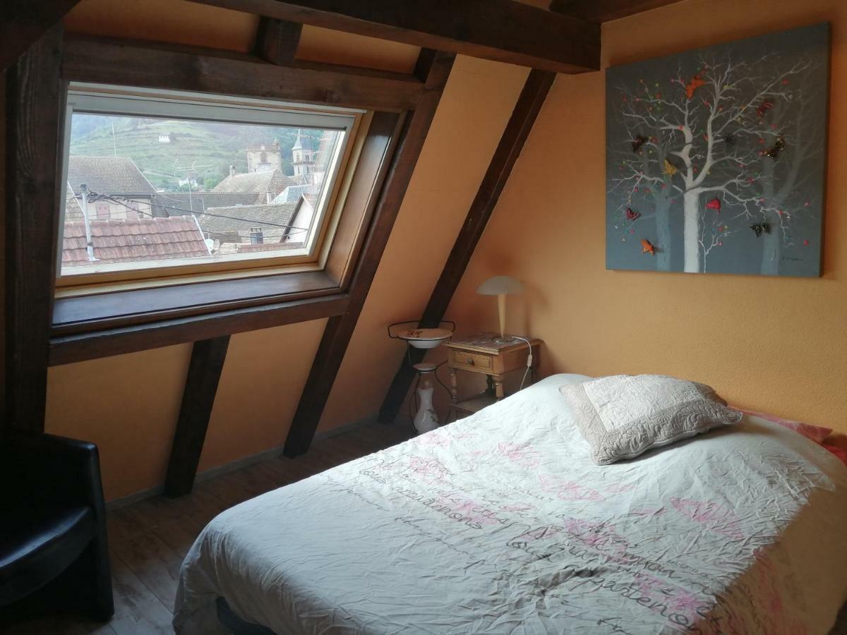 Gite Les Papillons Ribeauvillé Eksteriør bilde
